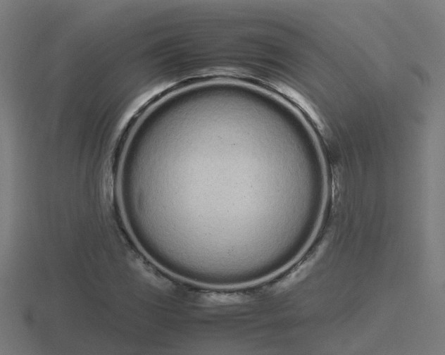 X0000116841117200912241223