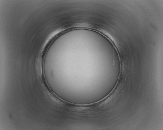 X0000116841123200912241223