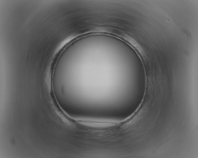 X0000116841127200912241223