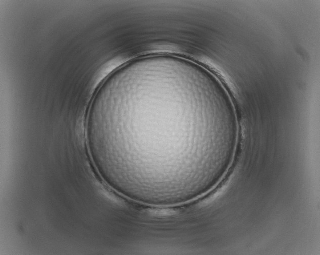 X0000116841129200912241223