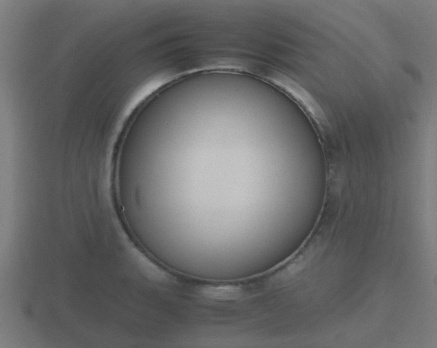 X0000116841135200912241223