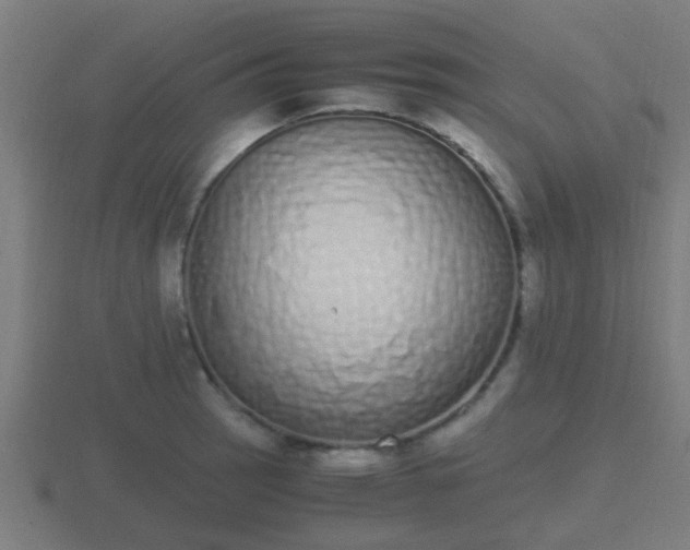 X0000116841137200912241223
