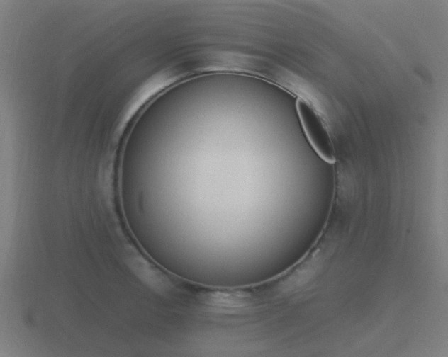 X0000116841138200912241223