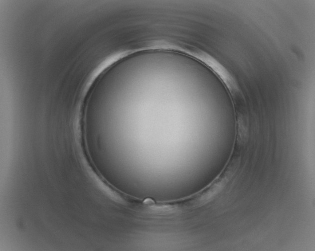 X0000116841142200912241223
