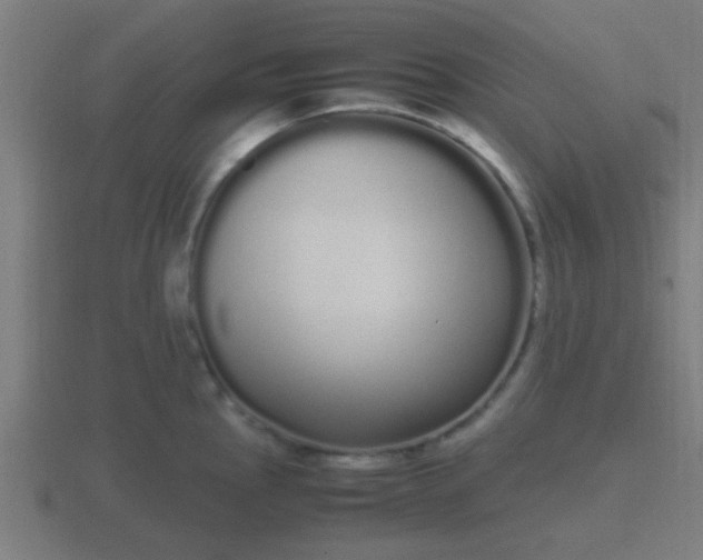 X0000116841145200912241223