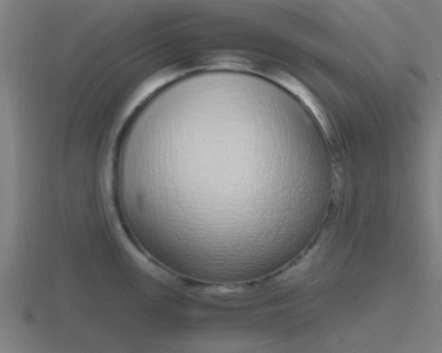 X0000116841147200912241223