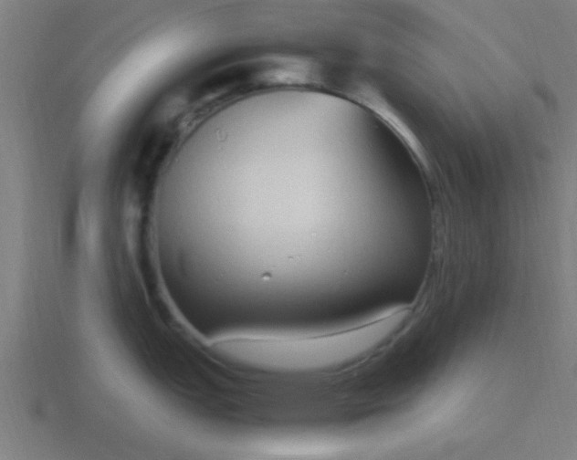 X0000116841151200912241223