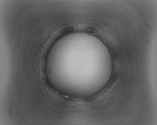X0000116841153200912241222