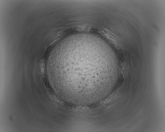 X0000116841154200912241222