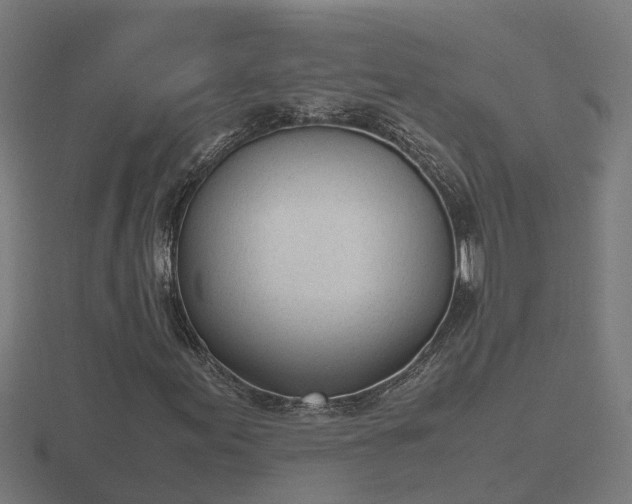 X0000116841155200912241222