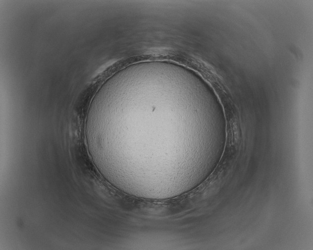 X0000116841158200912241222