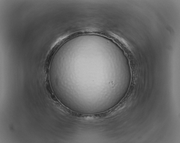 X0000116841160200912241222
