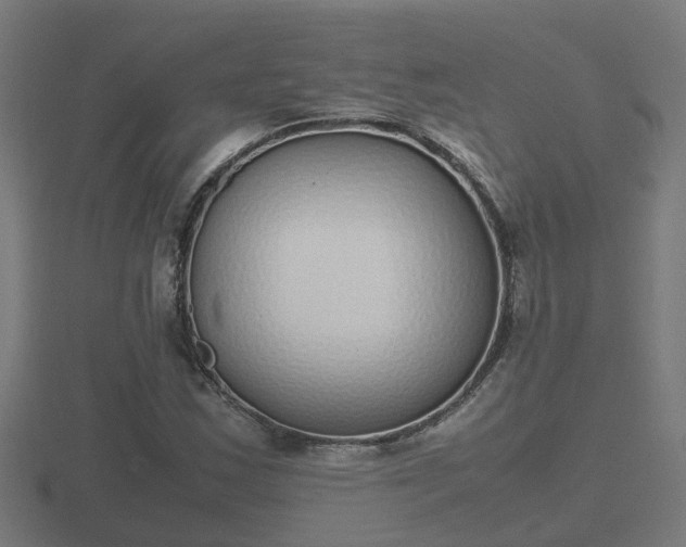 X0000116841163200912241222