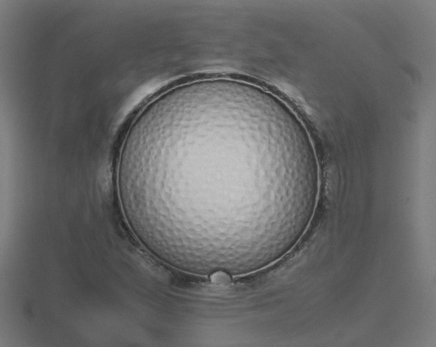 X0000116841167200912241222