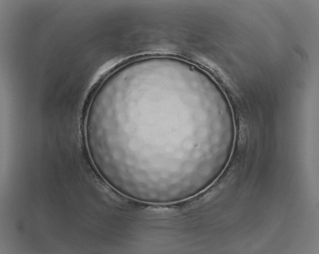 X0000116841168200912241222