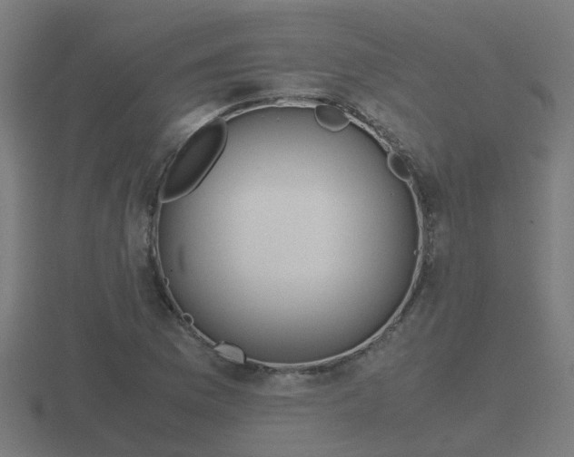 X0000116841169200912241222