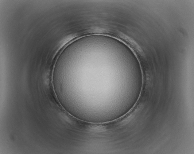 X0000116841170200912241222