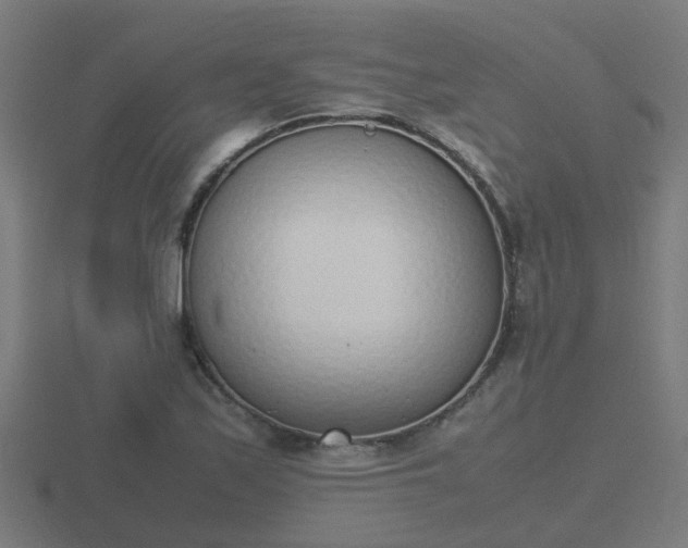 X0000116841171200912241222