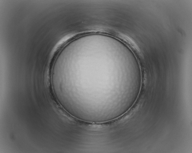 X0000116841172200912241222