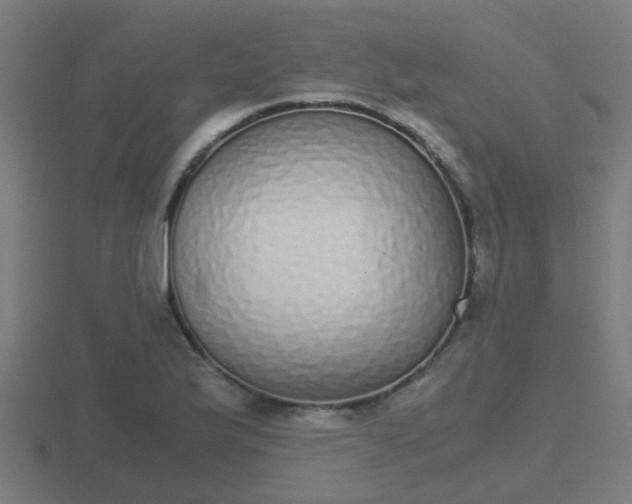 X0000116841175200912241222