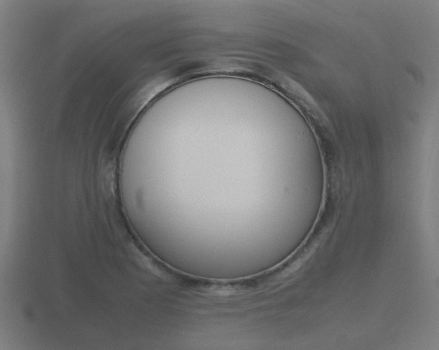 X0000116841177200912241222