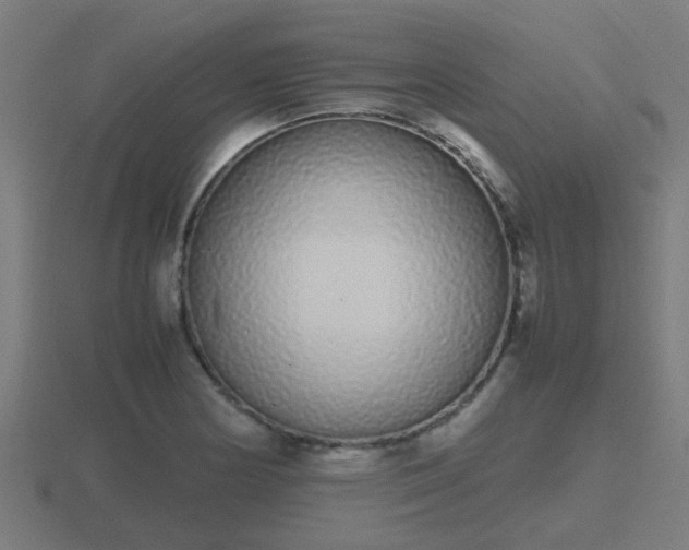 X0000116841178200912241222