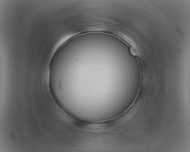 X0000116841179200912241222