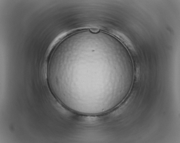 X0000116841180200912241222