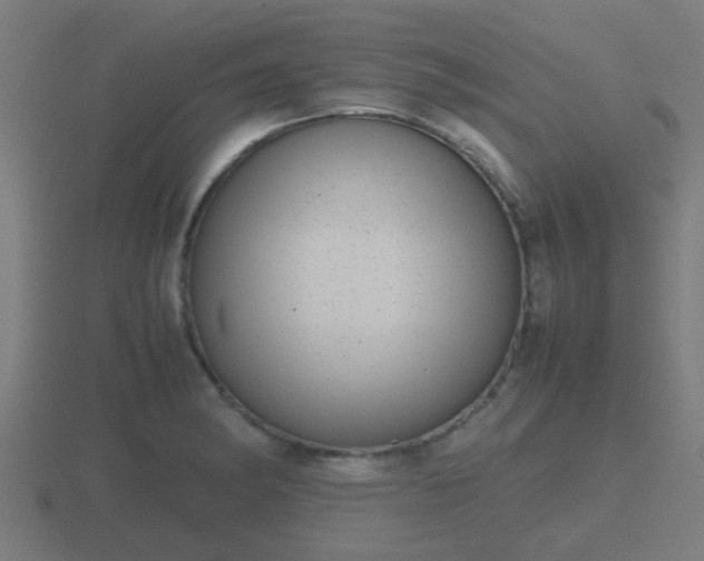 X0000116841182200912241222