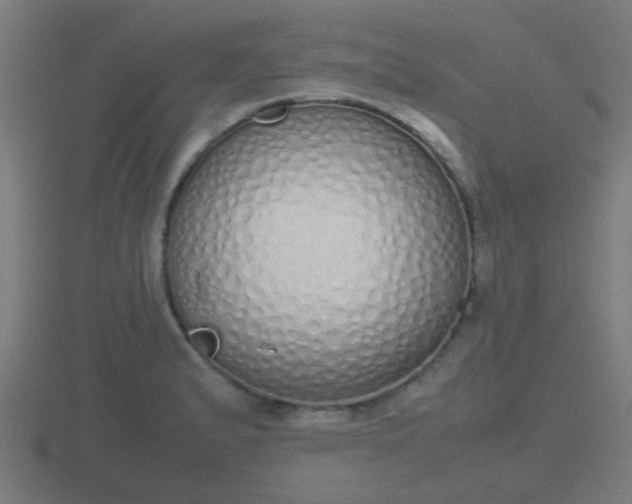X0000116841183200912241222