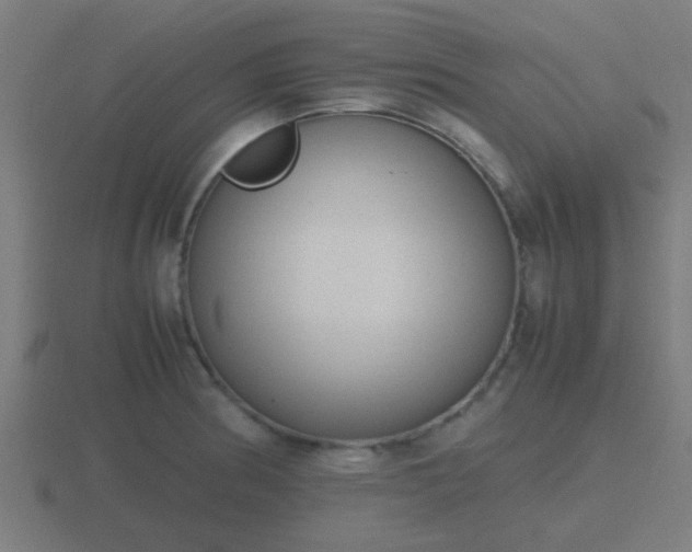 X0000116841186200912241222