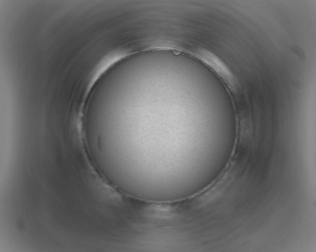 X0000116841190200912241222