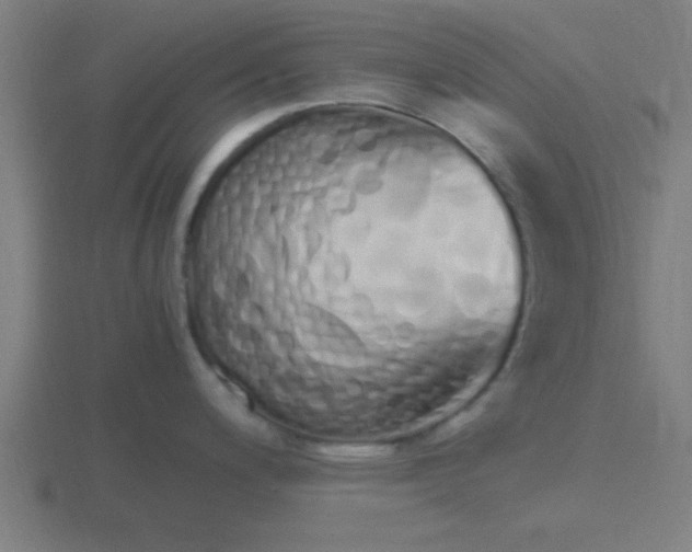 X0000116841200200912241222