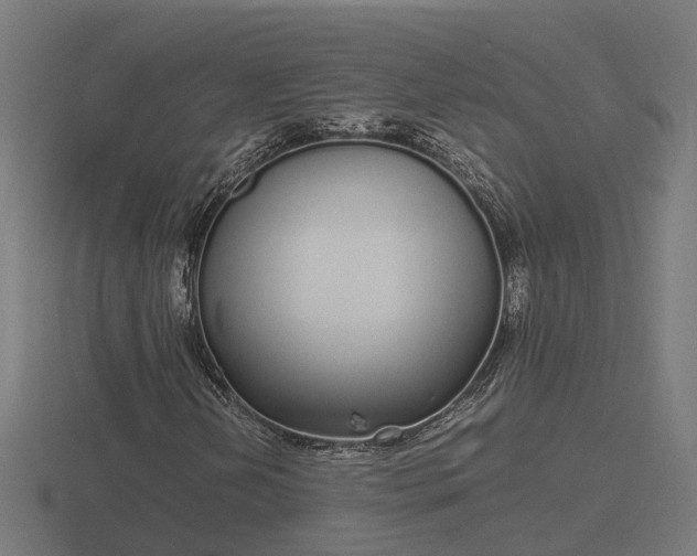 X0000116841202200912241221