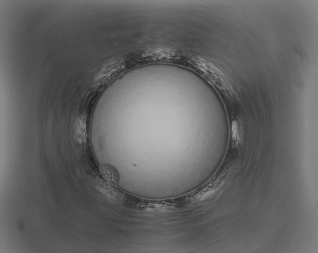 X0000116841203200912241221
