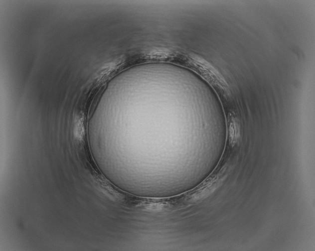 X0000116841204200912241221