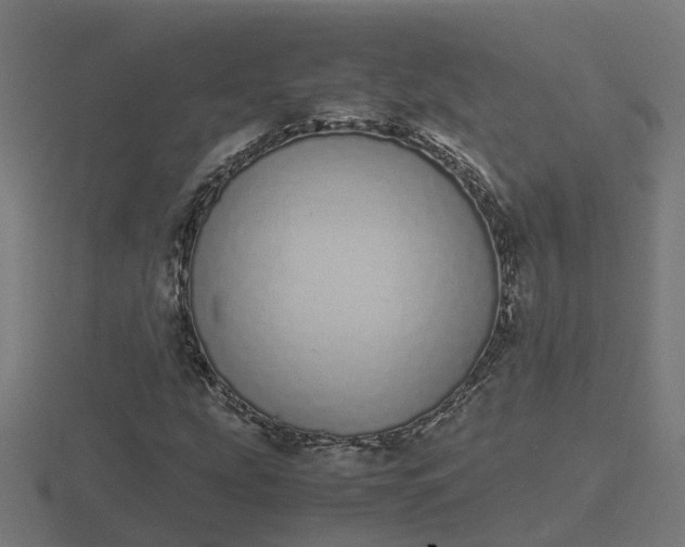 X0000116841207200912241221