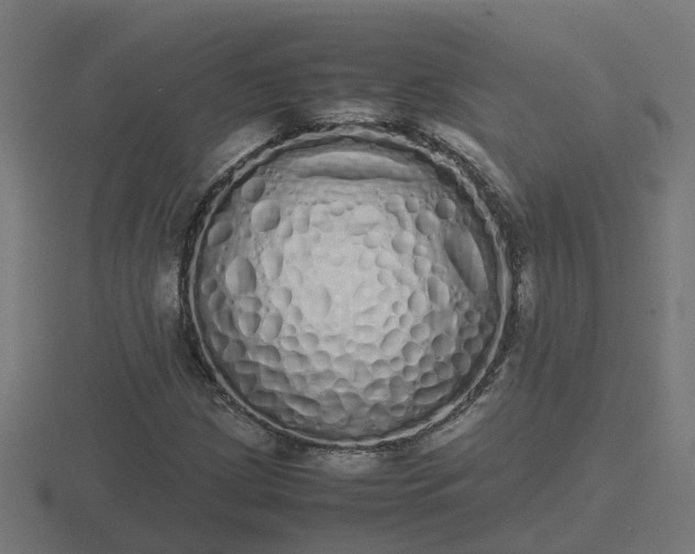 X0000116841209200912241221