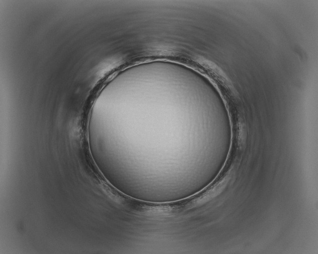 X0000116841210200912241221