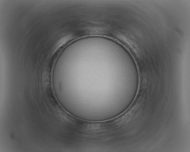 X0000116841211200912241221