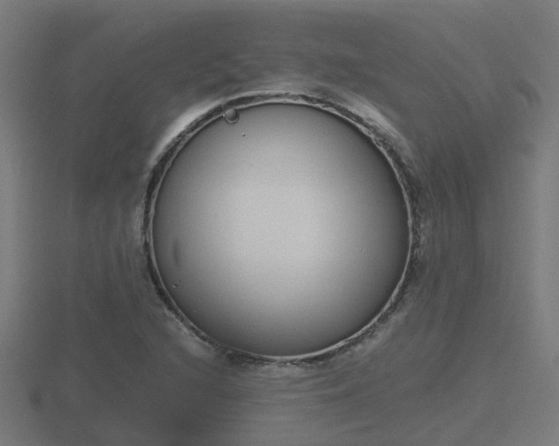 X0000116841216200912241221