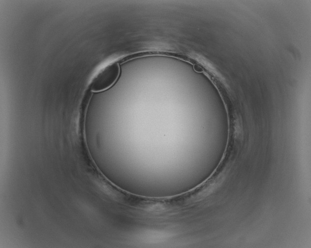 X0000116841222200912241222