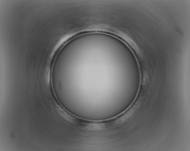 X0000116841224200912241222