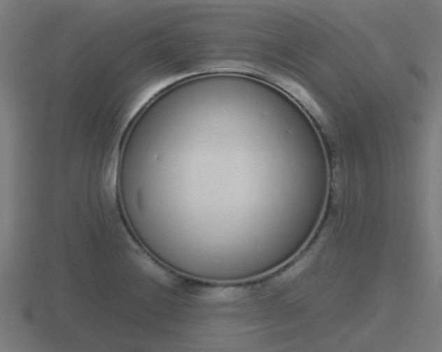 X0000116841228200912241222
