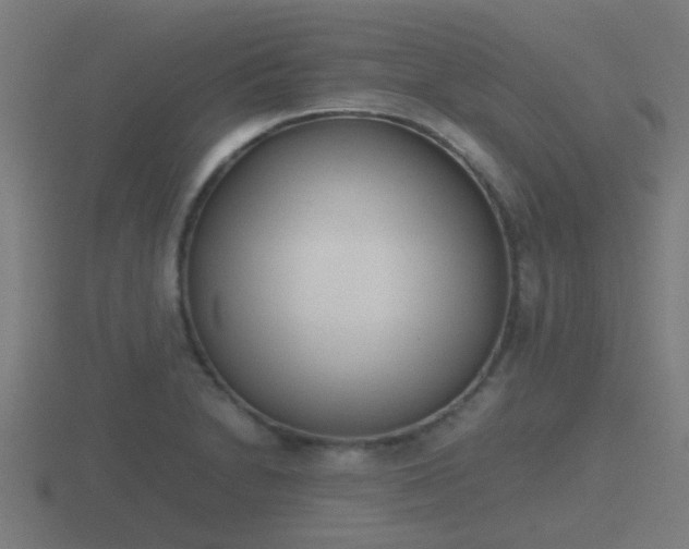 X0000116841230200912241222