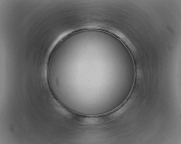X0000116841232200912241222