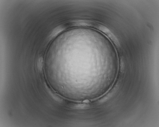 X0000116841233200912241222