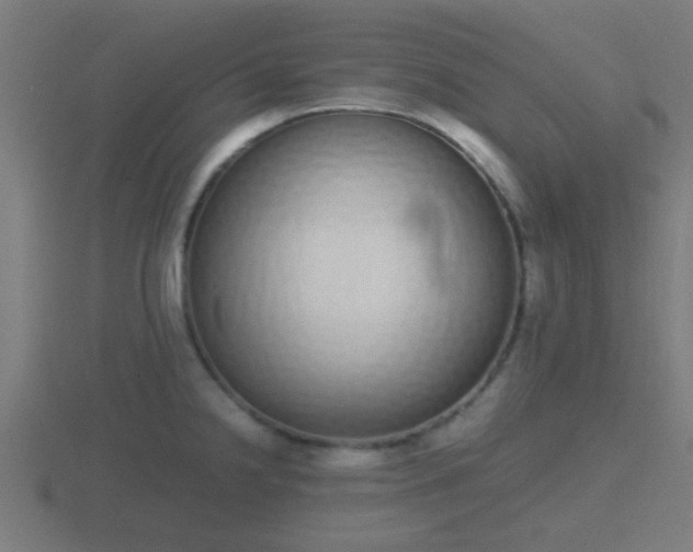 X0000116841238200912241222