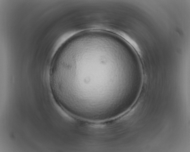 X0000116841239200912241222