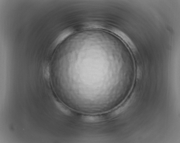 X0000116841241200912241222